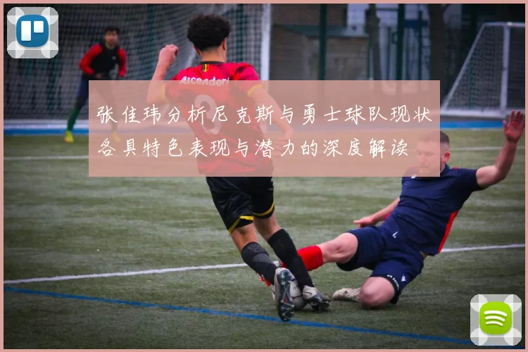 张佳玮分析尼克斯与勇士球队现状各具特色表现与潜力的深度解读